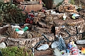 VBS_7023 - Presepe Meccanico di Nonna Rosi 2024